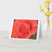 Sunrise Peach Rose Blume Gruß oder Mitteilungskart Karte (Gelbe Blume)