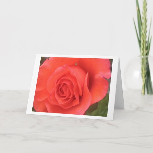 Sunrise Peach Rose Blume Gruß oder Mitteilungskart Karte (Vorderseite)