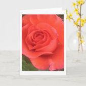 Sunrise Peach Rose Blume Gruß oder Mitteilungskart Karte (Gelbe Blume)
