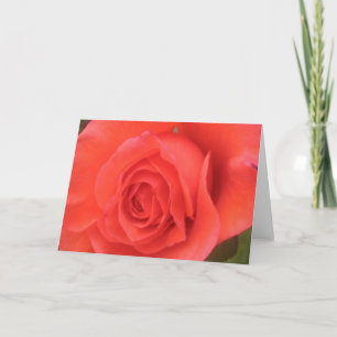 Sunrise Peach Rose Blume Gruß oder Mitteilungskart Karte