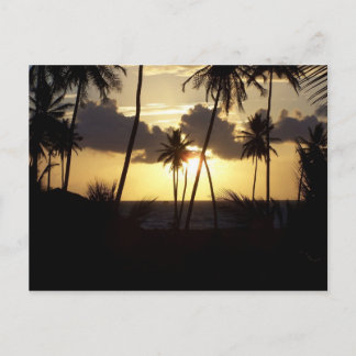 Sunrise Postcard Postkarte