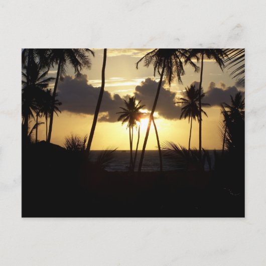 Sunrise Postcard Postkarte (Vorderseite)