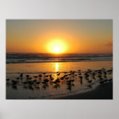 Sunrise Poster (Vorne)