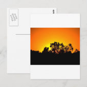 Sunrise Postkarte (Vorne/Hinten)