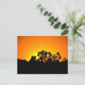 Sunrise Postkarte (Stehend Vorderseite)