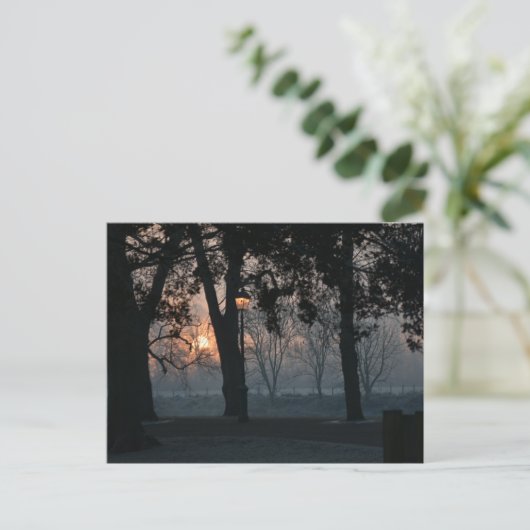 Sunrise Postkarte (Stehend Vorderseite)