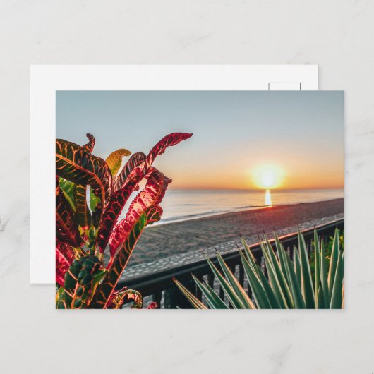 Sunrise Postkarte (Vorne/Hinten)