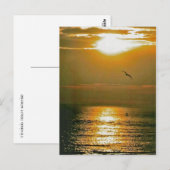 Sunrise Postkarte (Vorne/Hinten)