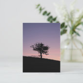 Sunrise Postkarte (Stehend Vorderseite)