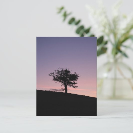 Sunrise Postkarte (Stehend Vorderseite)