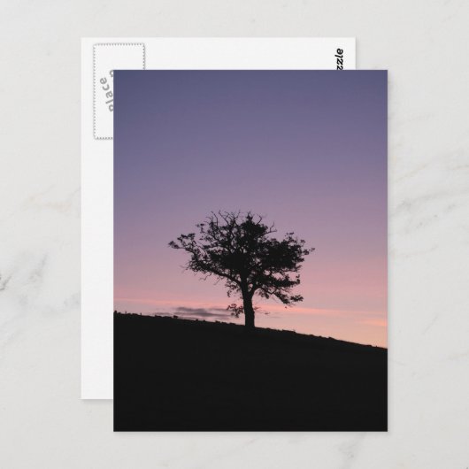 Sunrise Postkarte (Vorne/Hinten)