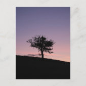 Sunrise Postkarte (Vorderseite)