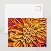 Sunrise Postkarte (Vorne/Hinten)