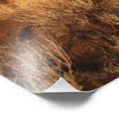 Sunrise Rainbow Fotodruck (Ecke)