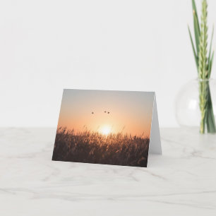 Sunrise Reed Nature Foto Karte