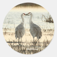 Sunrise Sandhill Crane Paar