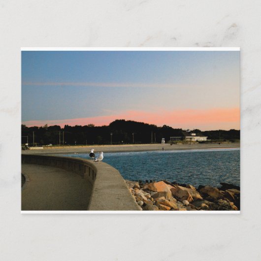 Sunrise Seagulls Postkarte (Vorderseite)