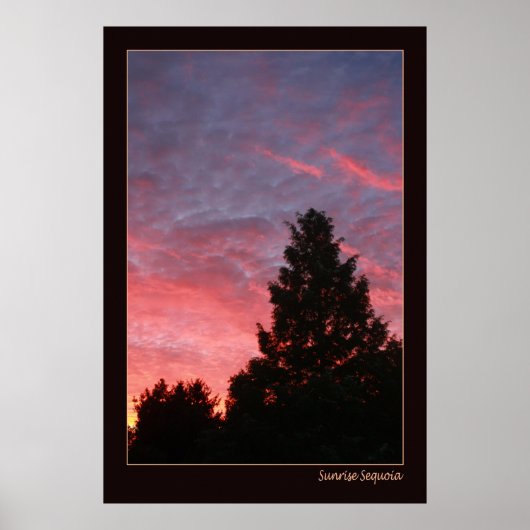 Sunrise Sequoia Poster (Vorne)