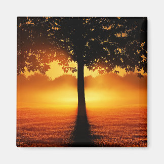 Sunrise Silhouette Magnet