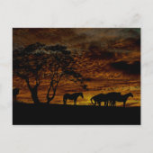 Sunrise-Silhouette Postkarte (Vorderseite)