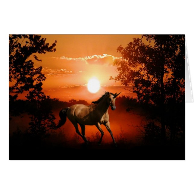 Sunrise unicorn (Vorderseite (Horizontal))