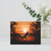 Sunrise Unicorn Postkarte (Stehend Vorderseite)