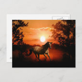 Sunrise Unicorn Postkarte (Vorne/Hinten)