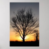 SunriseTree Poster (Vorne)
