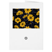 Sunroot, wilde Sonnenblumen in Gelb und Blau (Hinten)