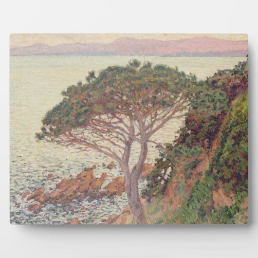 Sunset, 1916 (oil on canvas) fotoplatte (Vorderseite)