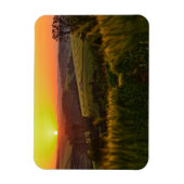 Sunset Agriculture Wheat Magnet (Vertikal)