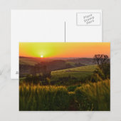 Sunset Agriculture Wheat Postkarte (Vorne/Hinten)