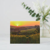Sunset Agriculture Wheat Postkarte (Stehend Vorderseite)