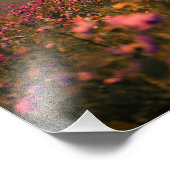 Sunset and cosmos fotodruck (Ecke)