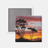 Sunset and Gum Tree, Binalong Bay, Bay of Fires, Magnet (Vorderseite/Rückseite)