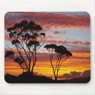 Sunset and Gum Tree, Binalong Bay, Bay of Fires, Mousepad