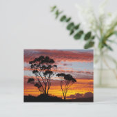Sunset and Gum Tree, Binalong Bay, Bay of Fires, Postkarte (Stehend Vorderseite)