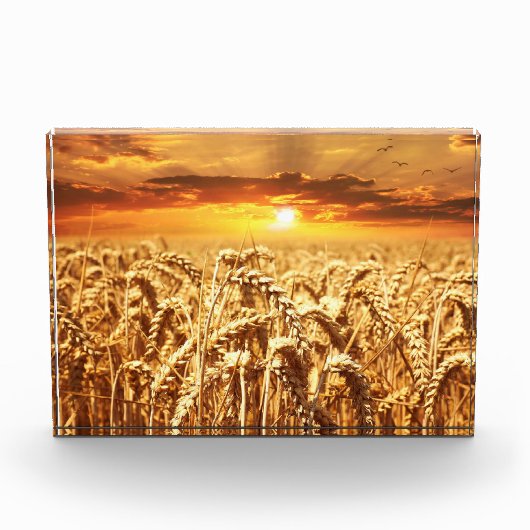 Sunset and Wheat Field Fotoblock (Vorderseite)