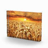 Sunset and Wheat Field Fotoblock (Rechts)