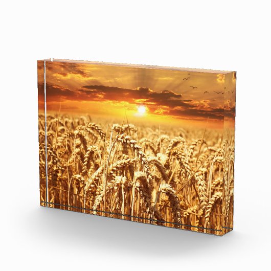 Sunset and Wheat Field Fotoblock (Rechts)