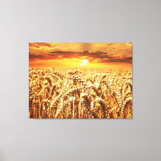 Sunset and Wheat Field Leinwanddruck (Vorderseite)