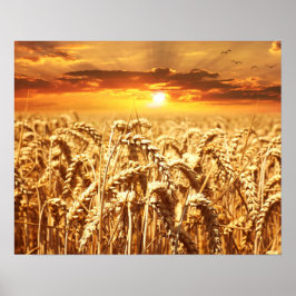Sunset and Wheat Field Poster