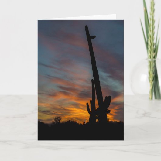 Sunset Arizona Grußkarte Saguaros Freunde Karte (Vorderseite)