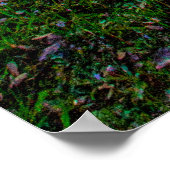 Sunset at Lake Zobel, George LeStrange Preserve Poster (Ecke)