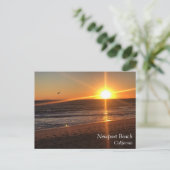 Sunset at Newport Beach, Kalifornien Postkarte (Stehend Vorderseite)