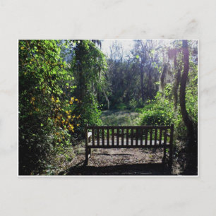 Sunset at Phinizy Swamp Park Augusta, GA Postkarte