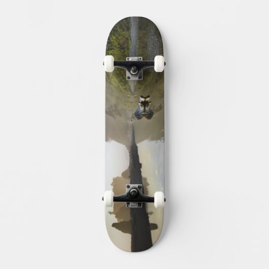 Sunset at Ruby Beach, Olympic National Park, Skateboard (Vorderseite)