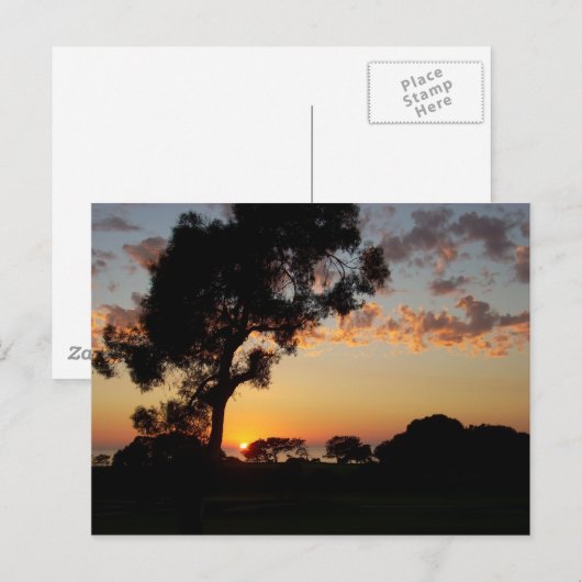 Sunset at Torrey Pines Postkarte (Vorne/Hinten)
