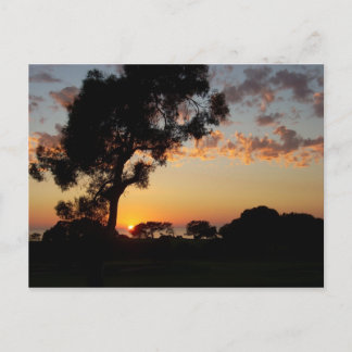 Sunset at Torrey Pines Postkarte