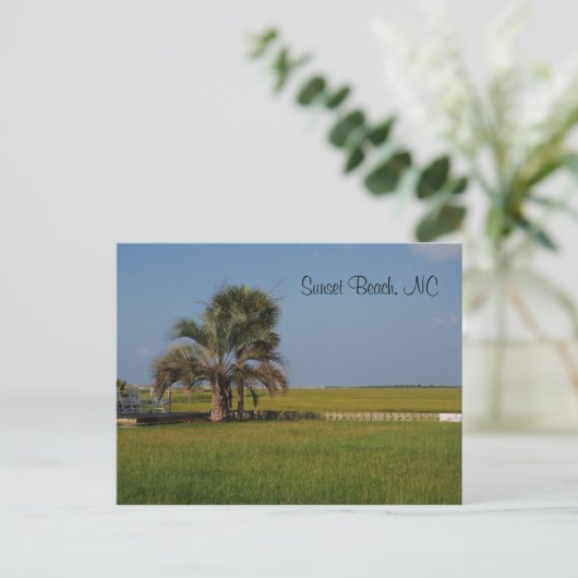 Sunset Beach North Carolina Postcard Postkarte (Stehend Vorderseite)